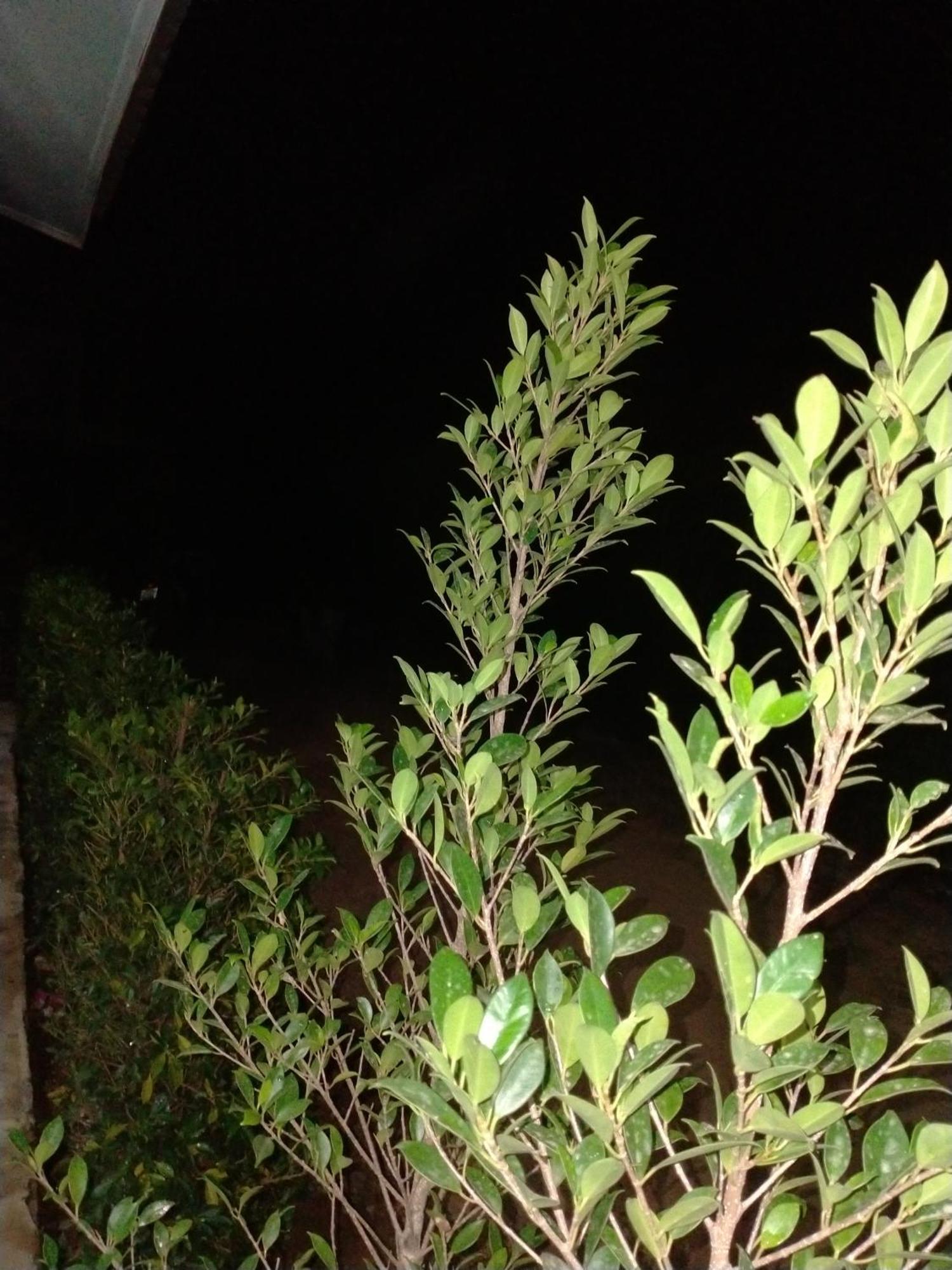 קו לנטה Lanta Rabbit Rooms חדר תמונה
